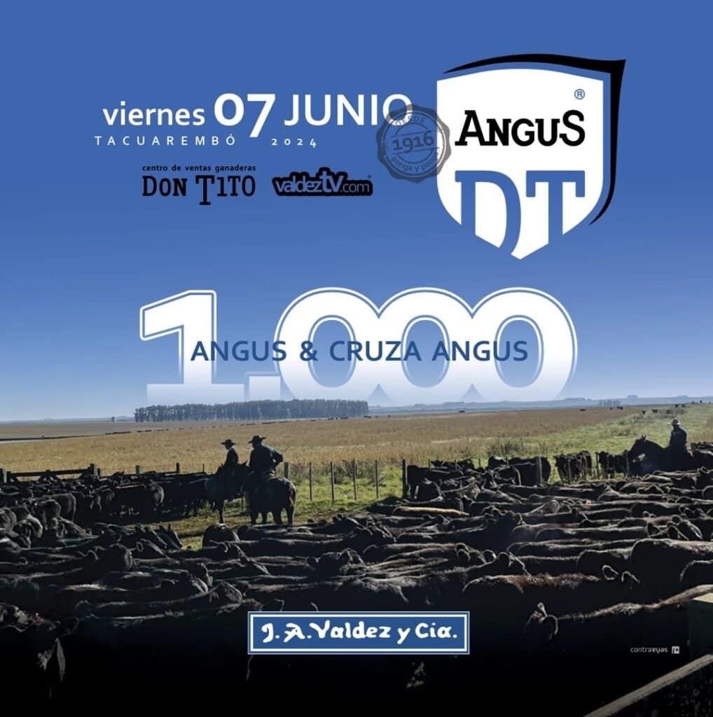 Calendarios de remates de Valdez & Cía. para junio. Calendarios de remates de Valdez & Cía. para junio.