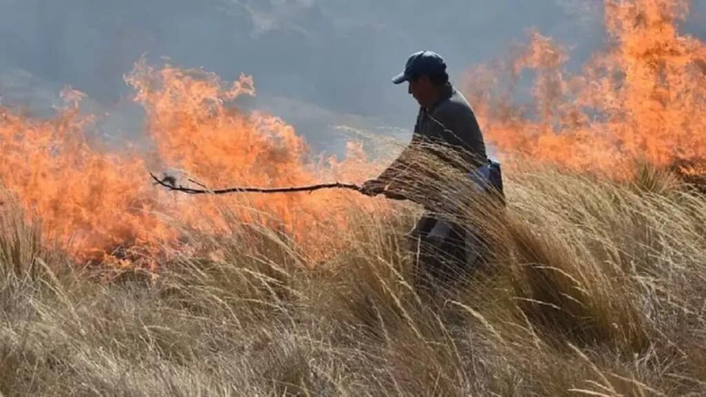 Perú decreta estado de emergencia en regiones selváticas por incendios forestales Perú decreta estado de emergencia en regiones selváticas por incendios forestales