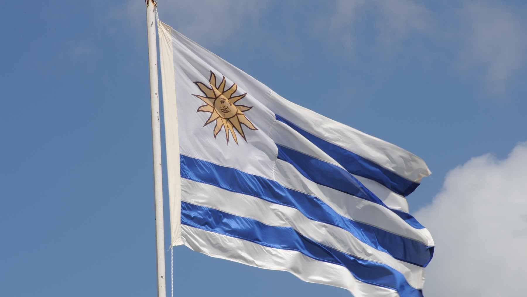 ¿Cuánta gente votó este 27 de octubre en Uruguay? ¿Cuánta gente votó este 27 de octubre en Uruguay?