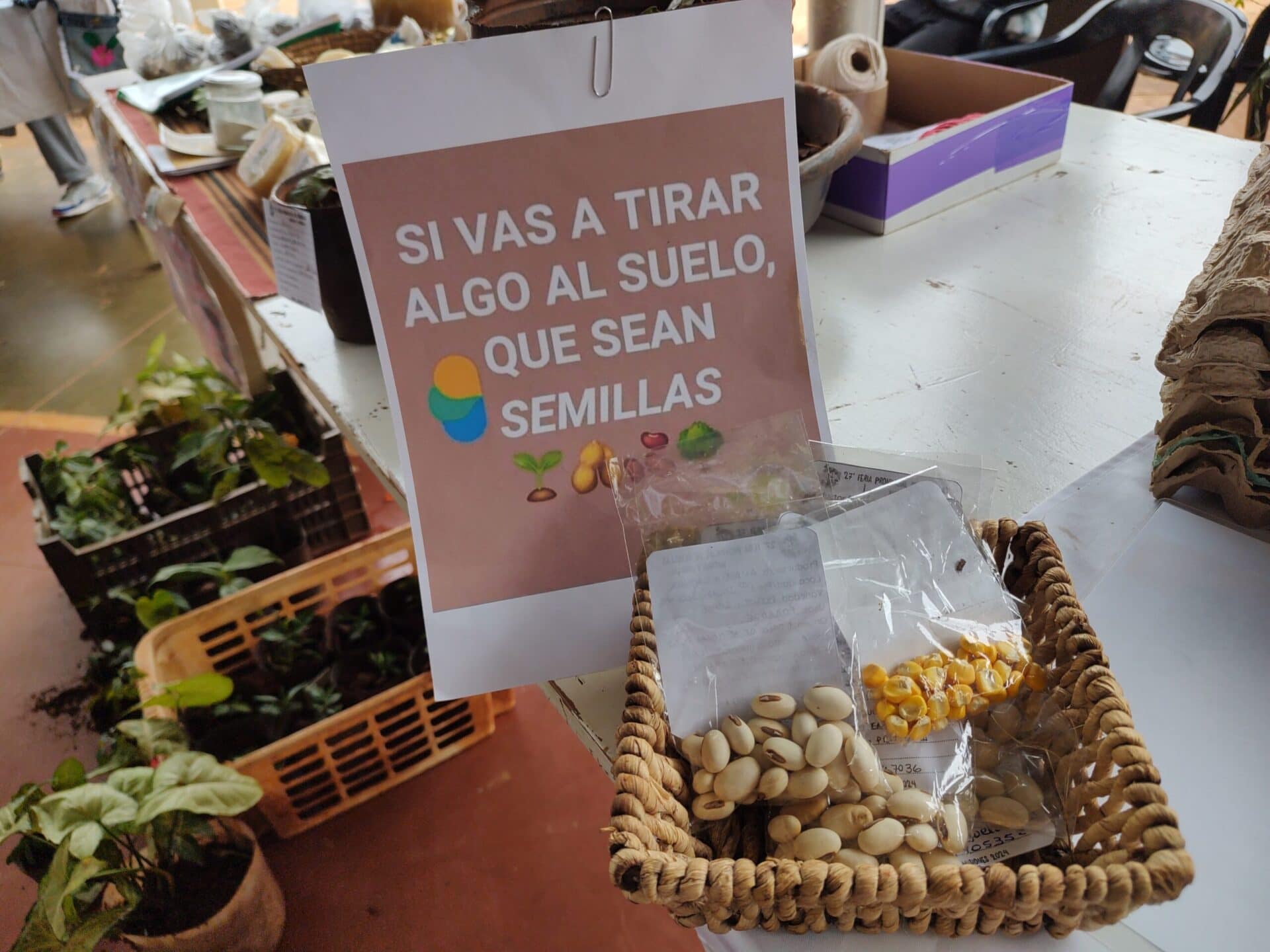 Se realizó la IV edición de la Feria local de semillas Nativa y Criolla en Iguazú Se realizó la IV edición de la Feria local de semillas Nativa y Criolla en Iguazú