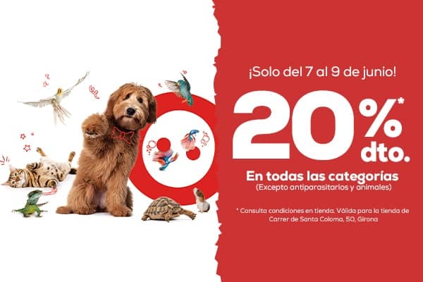 ¡Ven a la inauguración de Kiwoko Girona Wala! ¡Ven a la inauguración de Kiwoko Girona Wala!