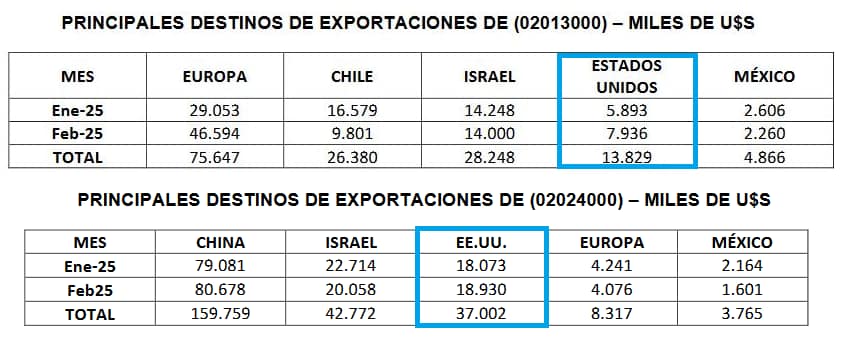 Mercosur: Las exportaciones de carne vacuna de Brasil, Argentina, Uruguay y Paraguay son las más afectadas por el arancel del 10% anunciado por Trump Mercosur: Las exportaciones de carne vacuna de Brasil, Argentina, Uruguay y Paraguay son las más afectadas por el arancel del 10% anunciado por Trump
